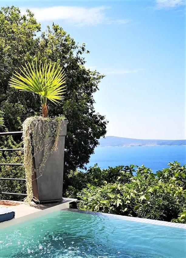 Art Gallery House With A Small Relaxing Pool Crikvenica Zewnętrze zdjęcie